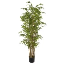 Mr Plant Bambus 180 cm