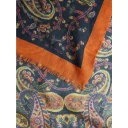 Etro Dame Accessories Flerfarget ONE SIZE,