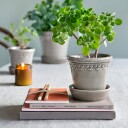 Bergs Potter Københavner Krukke Pearl Grey 12 cm