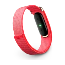 Google Fitbit Air aktivitetsarmbånd Berry