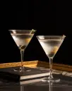 Hadeland Glassverk New York Martini Glass 35 cl 2 stk