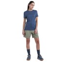 Icebreaker Women Merino 150 Tech Lite Iii Ss Tee Dawn S