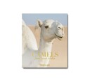 Camels From Saudi Arabia