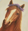 Name It Genser   NkfVotea   Bright White/Horse   Name It   7 8 år (122 128)   Genser Brun Hvit