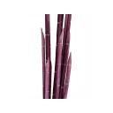 Europalms Magic Onion Stalks rose 134cm