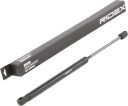 RIDEX 219G0897 Baklukedemper