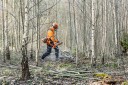 Husqvarna Skogsryddesag 545FXT M/Sele