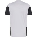 Adidas Liverpool FC 26/27 Tiro Treningstrøye Herre Dash Grey XS