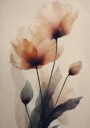Delicate Bloom Dance Plakat / 50x70