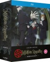 Jujutsu Kaisen  Sesong 2 Del 2: The Shibuya Incident Bluray