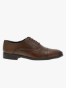 Gregers Bergamo Brun 40