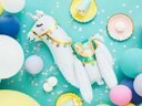 Folieballong Lama 39/61cm
