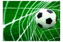 Fototapet Goal! 350x245 - Artgeist sp. z o. o.