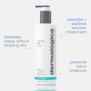 Dermalogica Active Clearing Ansiktsrens 250 ml med Antioksidanter og Salisylsyre
