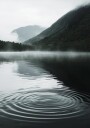 Water Ripples in Mountain Lake Plakat Plakat / 70x100cm