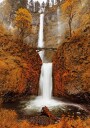 Autumn Waterfall in the Forest Plakat Plakat / 40x50cm