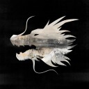 Suzzallo  The Quiet Year  LP/Vinyl