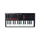 M-Audio Oxygen Pro Mini