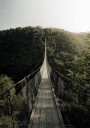 Hanging Bridge Plakat Plakat / 30x40cm