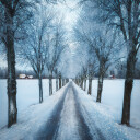 Swedish winter Plakat Plakat / 50x50cm