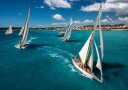 Sailing Regatta Turquoise Sea Plakat / 50x70