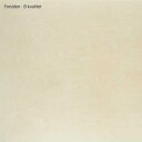 Fritzøe 9mm Kryssfiner Poppel Finert 244x122 Bjørk B/bb