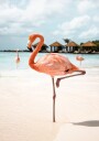 Pink Flamingo Plakat Plakat / 30x40cm
