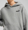 PUMA Ess Small No. 1 Logo Relaxed Hoodie Fl B Grey 128