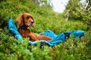 Non-Stop Dogwear Trekking Dog Bed Dark Teal M
