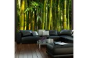 Fototapet Asian Bamboo Forest 200x154 - Artgeist sp. z o. o.
