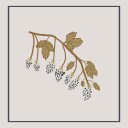 Blackberry Spring Plakat Plakat / 70x70cm