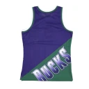 Mitchell & Ness Herre Sport Flerfarget L,