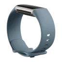 Fitbit Charge 5 Steel Blue/Platinum