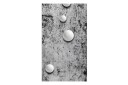 Fototapet Pearls On Concrete 50x1000 - Artgeist sp. z o. o.