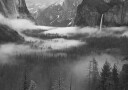 Fog Floating In Yosemite Valley Plakat / 50x70cm