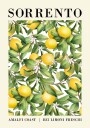 Sorrento Lemon Amalfi Coast Plakat Plakat / 30x40cm