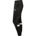 Puma IndividualRISE Pant, fotballbukse, herre Black S