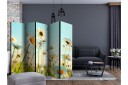 Romdeler - Daisies - spring meadow II 225x172 - Artgeist sp. z o. o.
