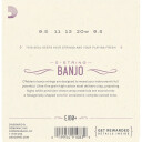 D'Addario EJ60+