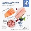 Catit Adult Premium Dry Food for Cats Fish 2 kg