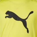 PUMA Active Sports Poly Cat T-skjorte Barn Gul 164