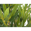 Europalms Bamboo Deluxe, Artificial Plant, 180cm