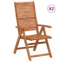  Sammenleggbare hagelenestoler 2 stk heltre akasie 367699