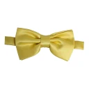 Dolce & Gabbana Herre Accessories Gul ONE SIZE,