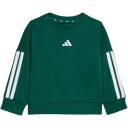 Adidas Sportswear I 3S Ft Jog 240   Green   68