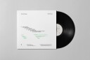 Ezra Feinberg  Soft Power  LP/Vinyl