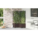 Hagepotte med Trellis 3 stk Brun 80x80x143 cm