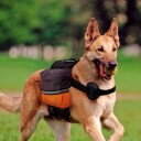Ferplast Dog Scout Kløvveske Til Medium Og Stor Hund