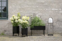 Eva Solo   Simply Grow plantekasse svart