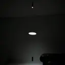 Martinelli Luce   Coassiale LED Taklampe